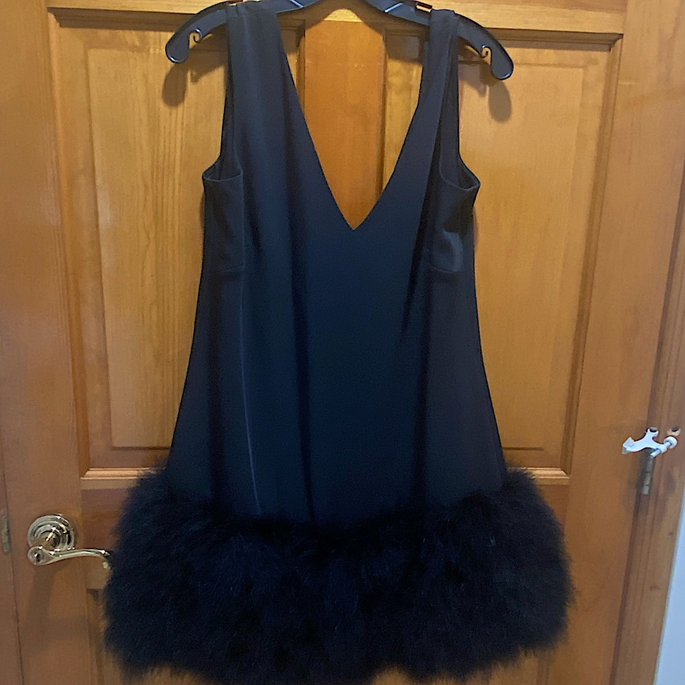 BCBG feather dress